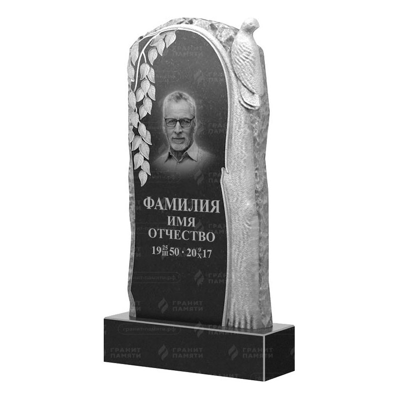 Гранитные памятники в Дзержинске | Гранитный памятник ФГ-206