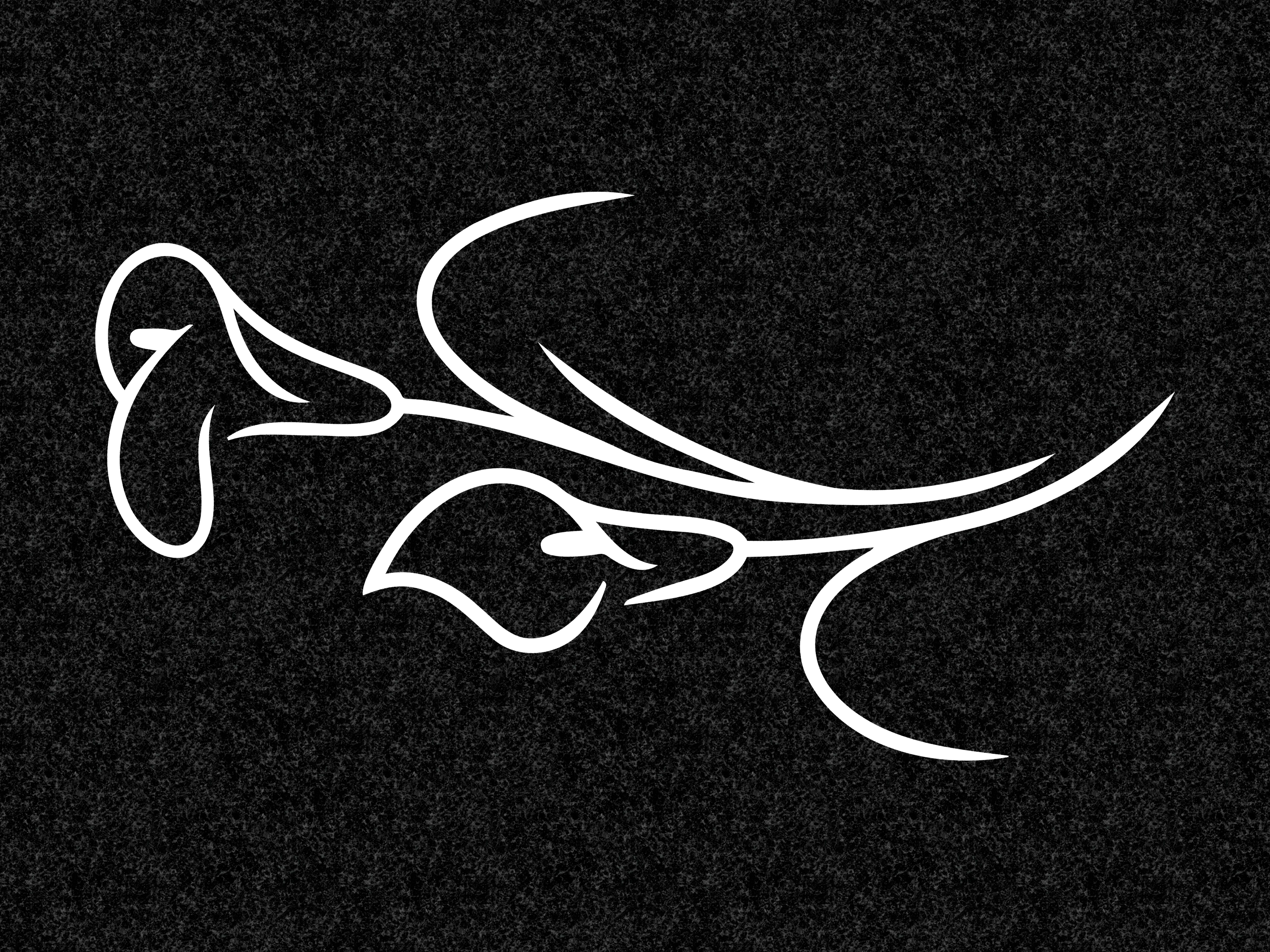 Цветы | Рисунок каллы, ЦВ-036