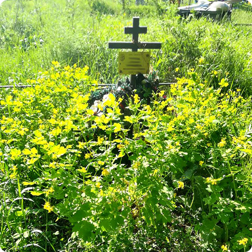 Благоустройство могил | Покос травы